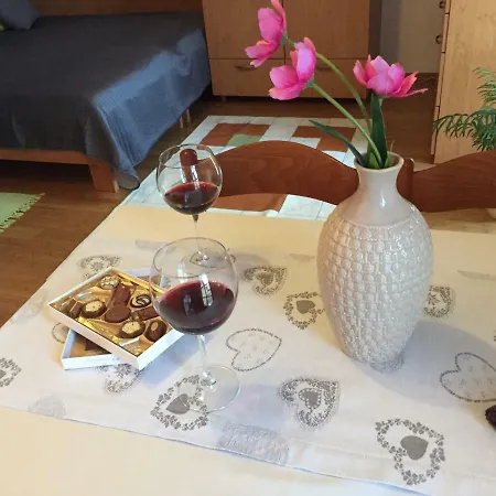 Apartment Ljubljana Apartmán